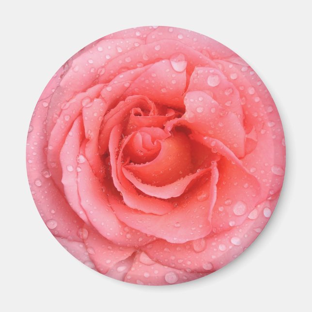 Romantic Red Pink Rose Water Drops Magnet (Front)