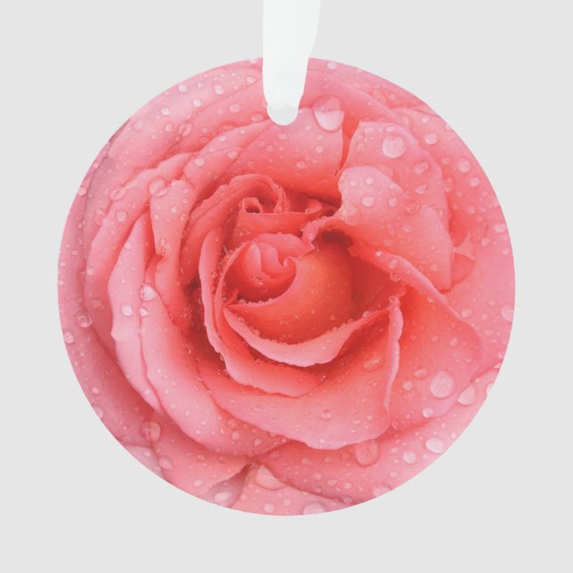 Romantic Red Pink Rose Water Drops Ornament (Front)