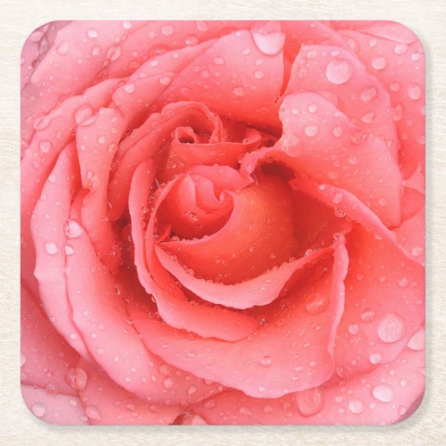 Romantic Red Pink Rose Water Drops Square Paper Coaster (Front)