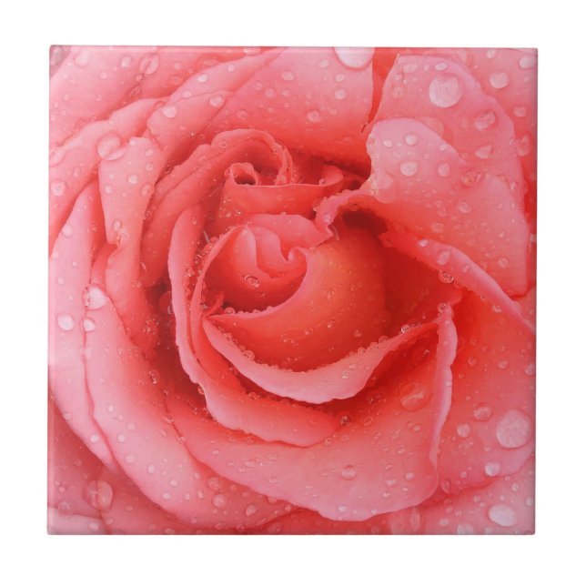 Romantic Red Pink Rose Water Drops Tile (Front)