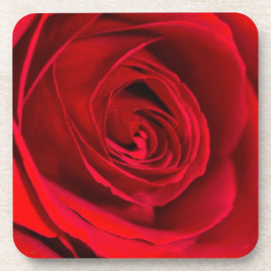 Romantic Red Rose in full bloom Coaster