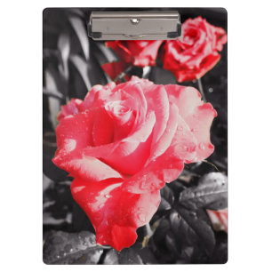 Romantic Red Roses Clipboard
