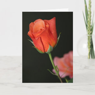 Romantic Rose Birthday Card
