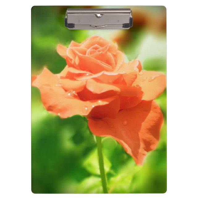 Romantic Rose Flowers #2 Clipboard (Front)