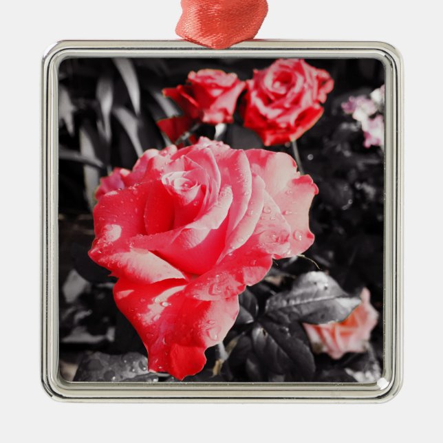 Romantic Rose Flowers #3 Metal Tree Decoration (Front)