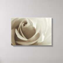 Romantic Rose Sepia Flower