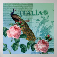 Romantic Roses Musical Peacock