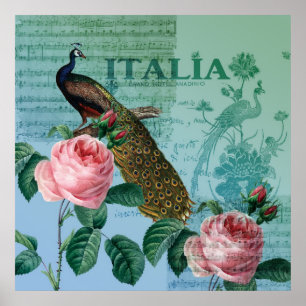 Romantic Roses Musical Peacock Poster