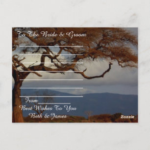 Romantic Safari Africa Best Wishes Newly Weds Postcard