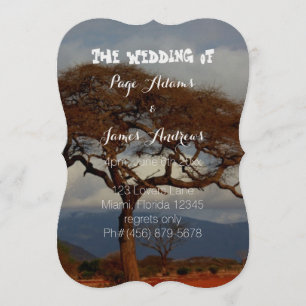Romantic Safari Africa Bridal Wedding Programs Programme