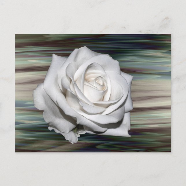 Romantic Safari Floral Guest Bridal Shower Destiny Invitation Postcard (Front)