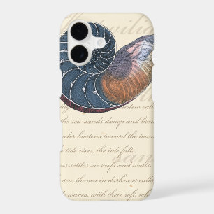 Romantic Seashell