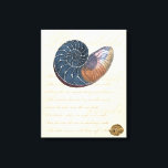 Romantic Seashell Canvas Print<br><div class="desc">Do you live far away from the beach? No problem! Get this romantic seashell painting so you can image yourself sitting on a peaceful beach on a warm sunny day. This piece of art romanticises the sea and the little waves which will leave you yearning for a visit the beach....</div>