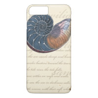 Romantic Seashell