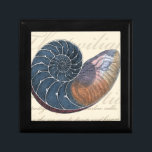 Romantic Seashell Gift Box<br><div class="desc">Do you live far away from the beach? No problem! Get this romantic seashell painting so you can image yourself sitting on a peaceful beach on a warm sunny day. This piece of art romanticises the sea and the little waves which will leave you yearning for a visit the beach....</div>