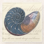 Romantic Seashell Glass Coaster<br><div class="desc">Do you live far away from the beach? No problem! Get this romantic seashell painting so you can image yourself sitting on a peaceful beach on a warm sunny day. This piece of art romanticises the sea and the little waves which will leave you yearning for a visit the beach....</div>
