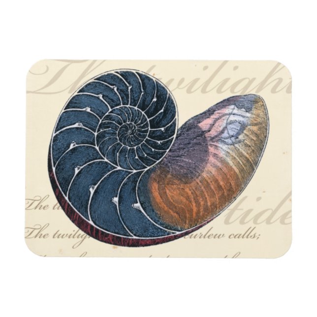 Romantic Seashell Magnet (Horizontal)