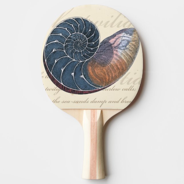 Romantic Seashell Ping Pong Paddle (Front)
