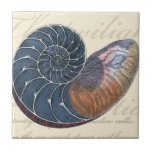 Romantic Seashell Tile<br><div class="desc">Do you live far away from the beach? No problem! Get this romantic seashell painting so you can image yourself sitting on a peaceful beach on a warm sunny day. This piece of art romanticises the sea and the little waves which will leave you yearning for a visit the beach....</div>