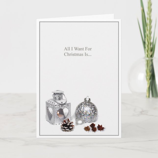 Romantic Silver Ornaments Christmas Holiday Card (Front)