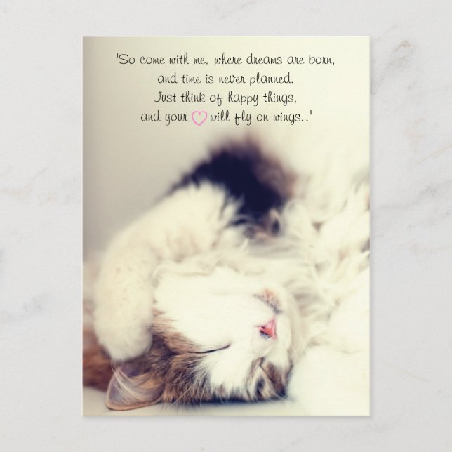 Romantic sleeping cat scene J.M. Barrie quote Postcard (Front)