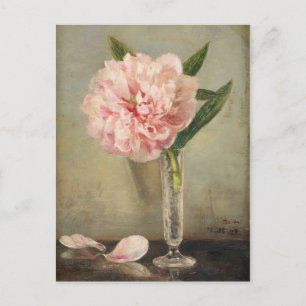 Romantic soft pink peony in vase postcard