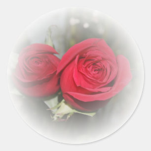 Romantic Soft Red Roses Classic Round Sticker