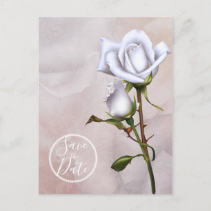Romantic Soft White Roses Elegant Save the Date Announcement Postcard