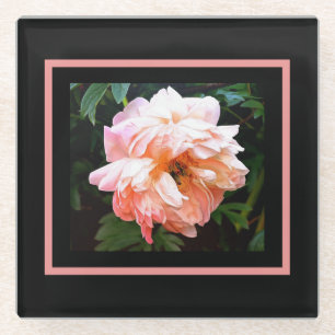 Romantic Spring Peony in Pale Peach Glass Coaster