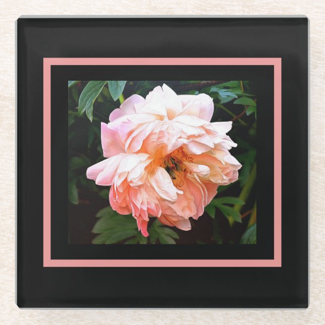 Romantic Spring Peony in Pale Peach Glass Coaster (Front)
