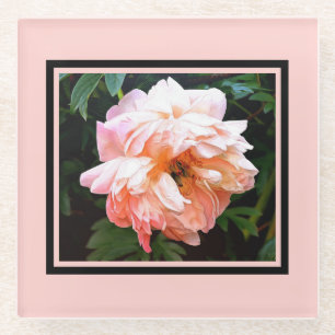 Romantic Spring Peony in Pale Peach Glass Coaster