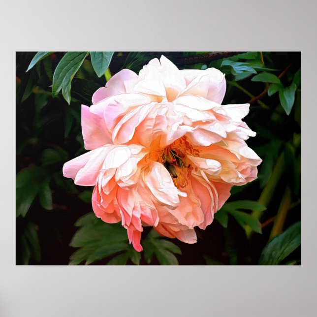 Romantic Spring Peony in Pale Peach Poster (Front)