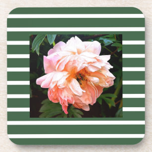 Romantic Spring Peony on Summery Green Stripes Coaster