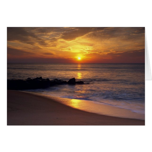 Romantic sunset (Front Horizontal)