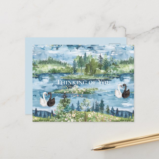Romantic Swans Blue Lake   Postcard (Front/Back In Situ)