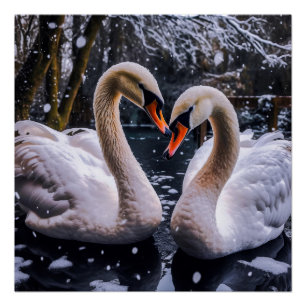 Romantic Swans in a Winter Wonderland Poster