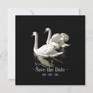 Romantic Swans - Save the date announcement