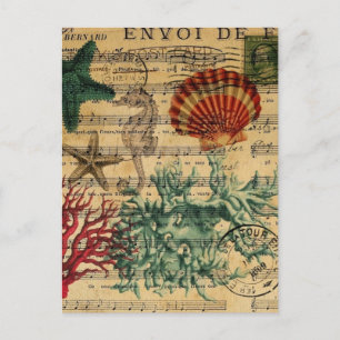 romantic tropical coastal coral seahorse starfish postcard