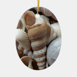 Romantic Tropical Exotic Sea Shells Beach Love Ceramic Tree Decoration