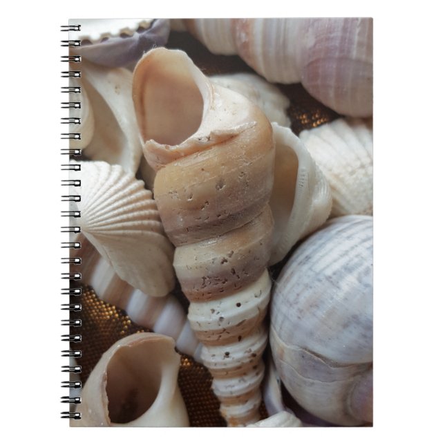 Romantic Tropical Exotic Sea Shells Beach Love Notebook (Front)