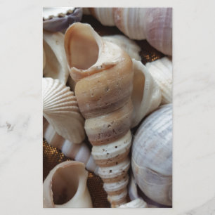 Romantic Tropical Exotic Sea Shells Beach Love Stationery