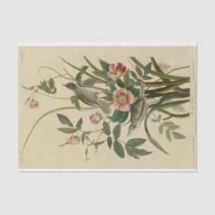 Romantic Vintage Birds and Roses Tissue Paper