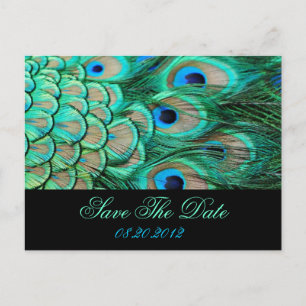 romantic vintage  peacock wedding save the date announcement postcard