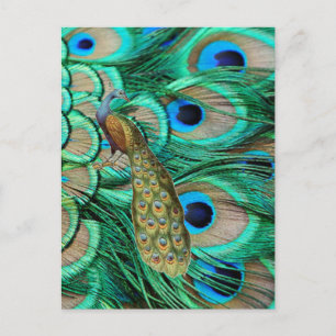 romantic vintage turquoise teal peacock wedding postcard