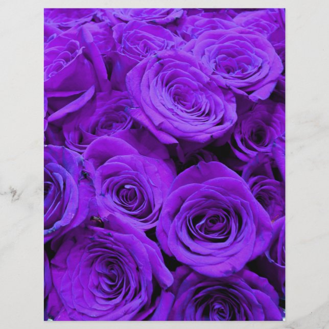 romantic violet purple roses, pretty rose bouquet (Front)