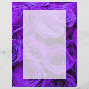 Romantic violet purple roses, pretty rose bouquet