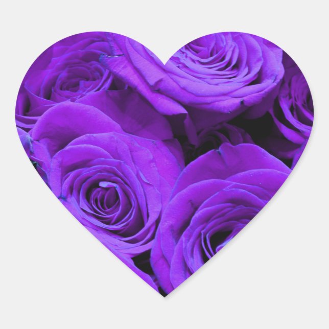 romantic violet purple roses, pretty rose bouquet heart sticker (Front)