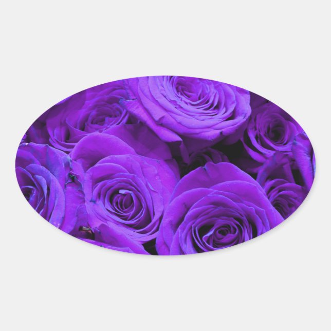 romantic violet purple roses, pretty rose bouquet oval sticker (Front)