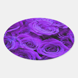 romantic violet purple roses, pretty rose bouquet oval sticker
