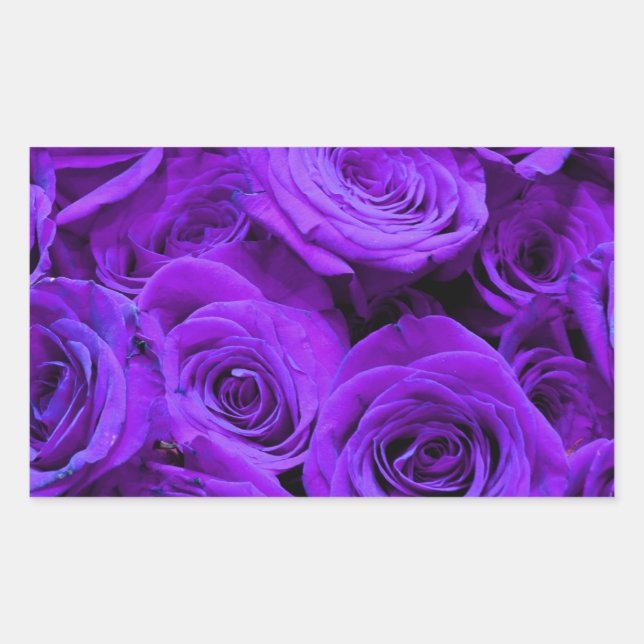 romantic violet purple roses, pretty rose bouquet rectangular sticker (Front)